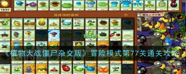 植物大战僵尸杂交版冒险模式第77关通关攻略